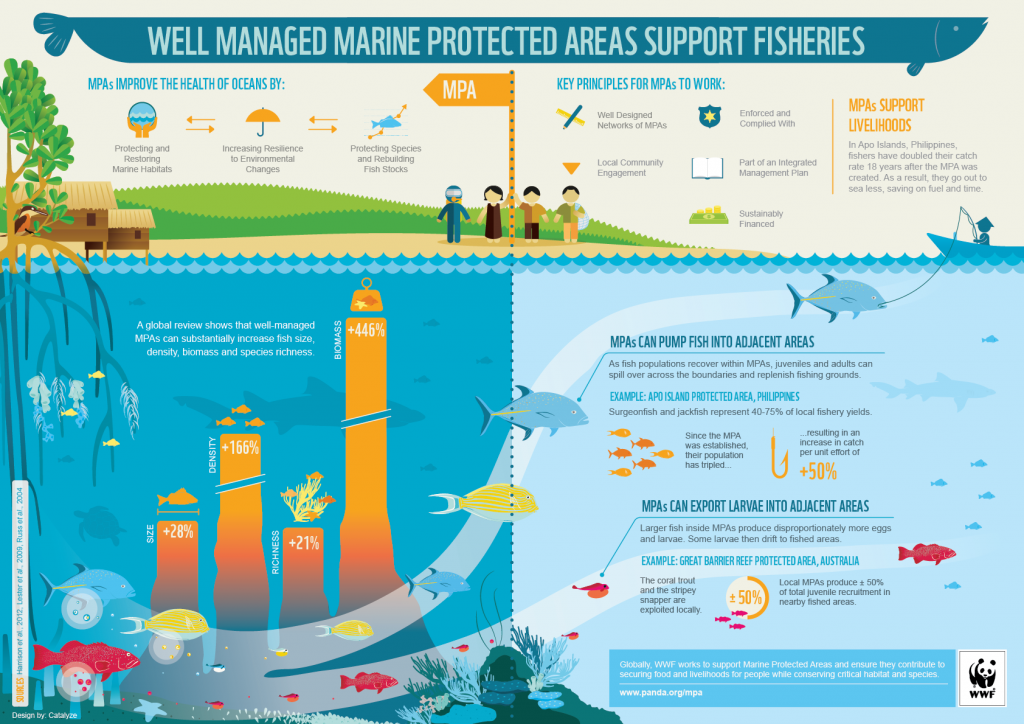 fisheries_benefits_marine_protected_areas_wwf_infographic-1 - Pinch of ...